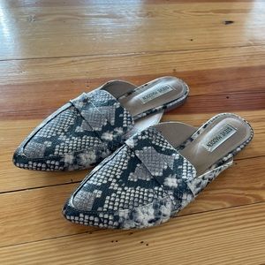 Snake Print Slides - Steve Madden